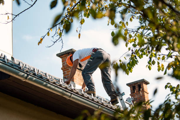 Steel Roofing in Midlothian, VA