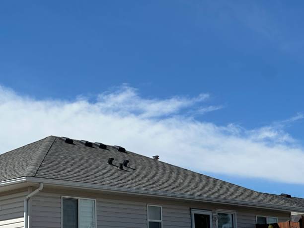 Best Asphalt Shingle Roofing  in Midlothian, VA